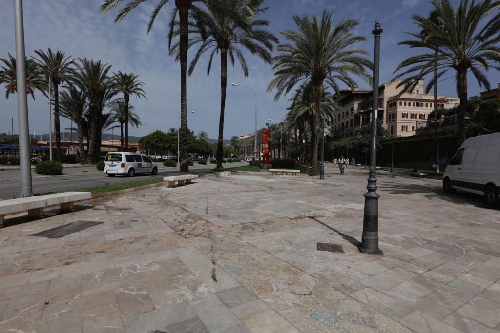 Muere un hombre al ser atropellado por un coche de la Policía Local en Palma