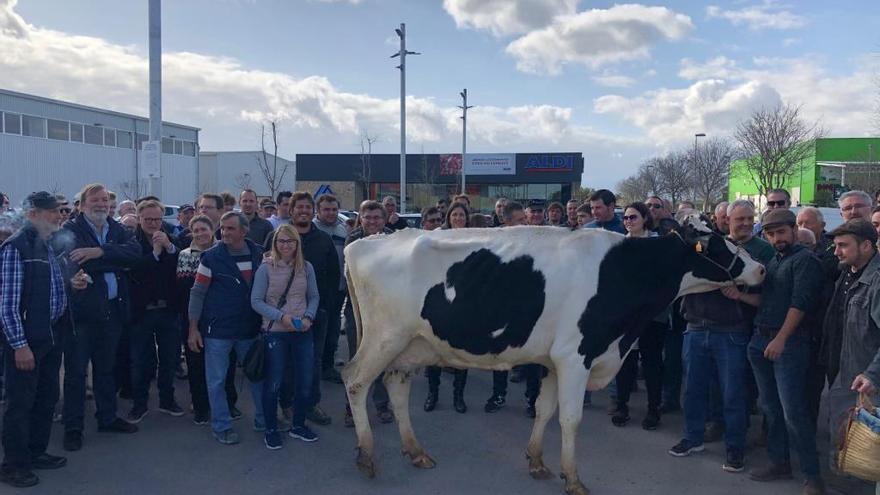 Las tres entidades agrÃ­colas se han concentrado hoy en Campos.