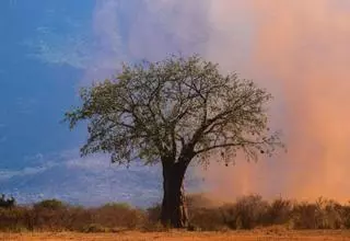 El Memorial "María Luisa"  se presenta en la Fidma con una retrospectiva de 83 grandes fotos de naturaleza