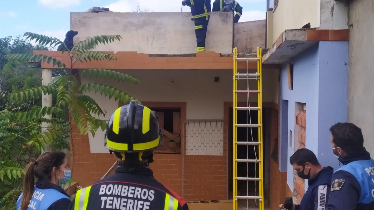 Rescate de la perrita abandonada en una vivienda deshabitada de La Orotava.