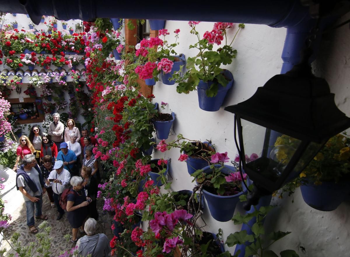 Paseando por el Alcázar Viejo