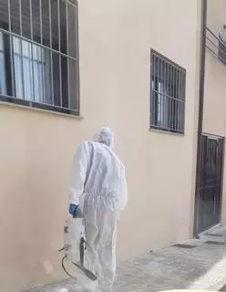 La plaga de milpiés también rebrota con fuerza en Massalavés