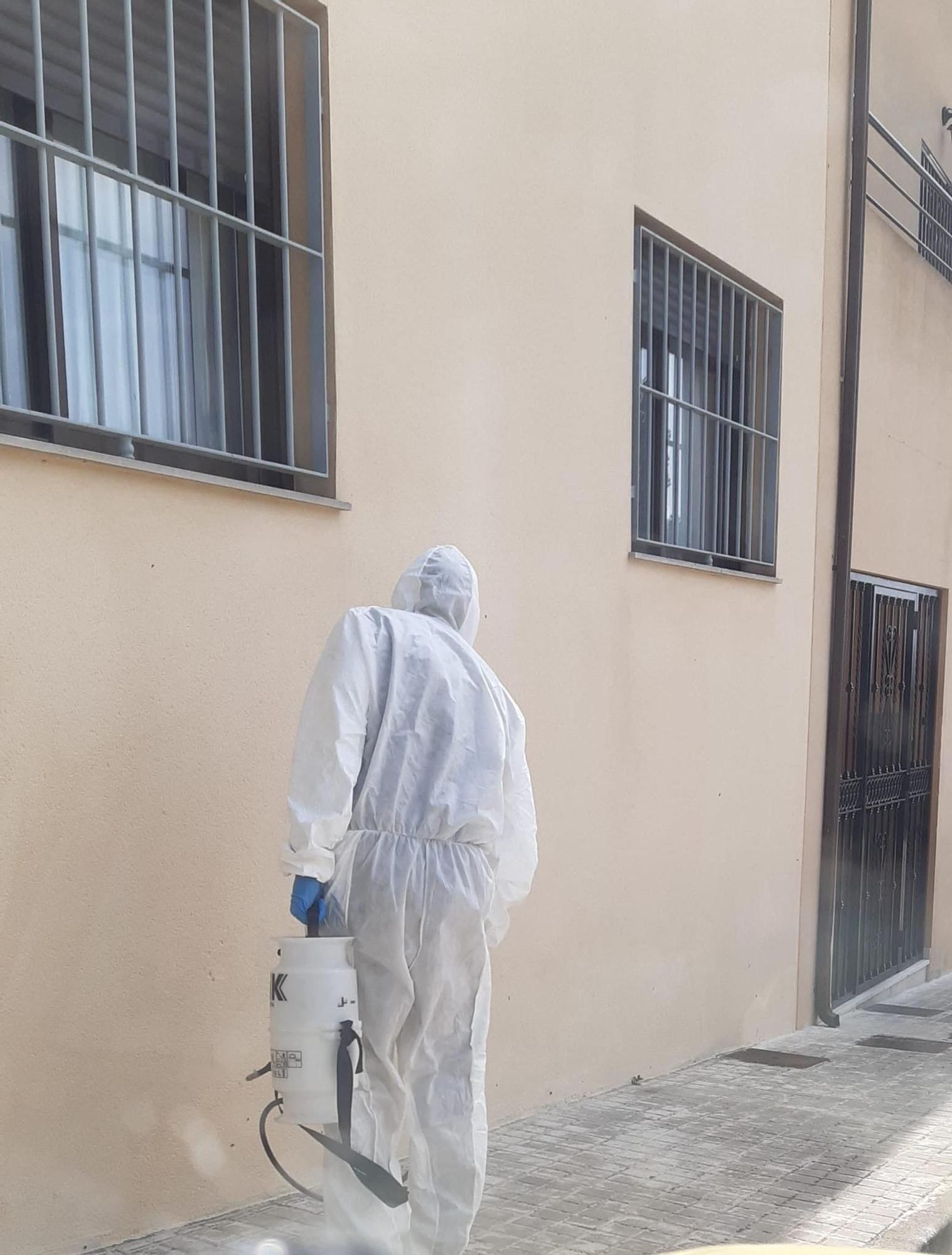 Trabajos de fumigación en una imagen del viernes.