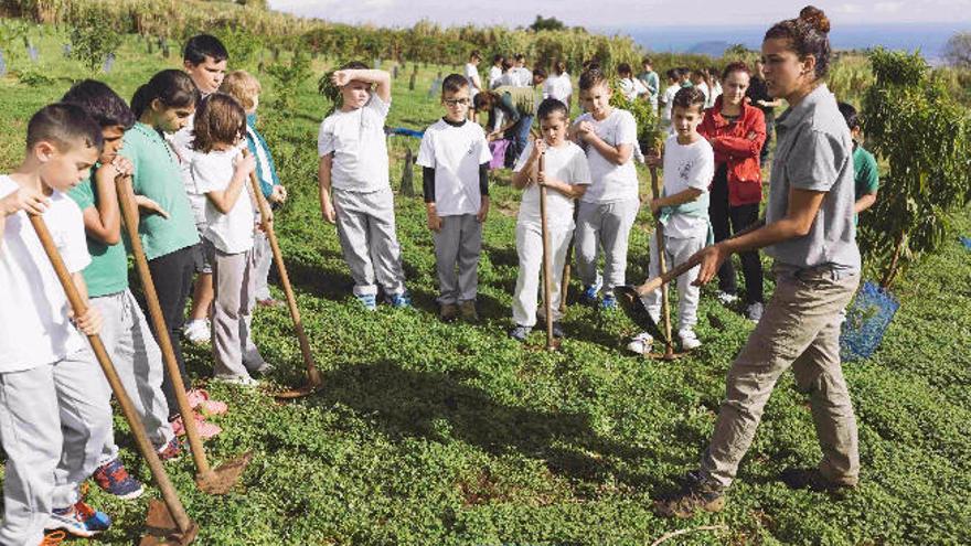 Alumnos que participan en la cuarta edición de  &#039;Escolares por la Sostenibilidad&#039;.