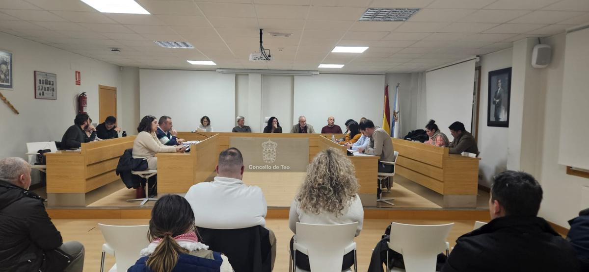 Un momento d ela sesión plenaria celebrada en Teo