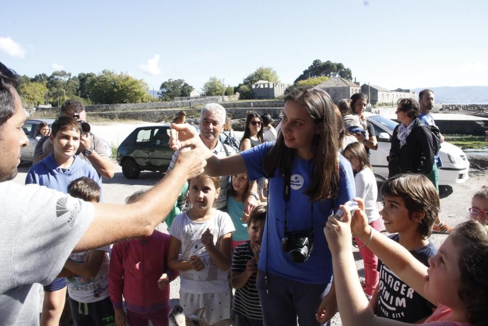 Jornada de anillamiento en Cangas