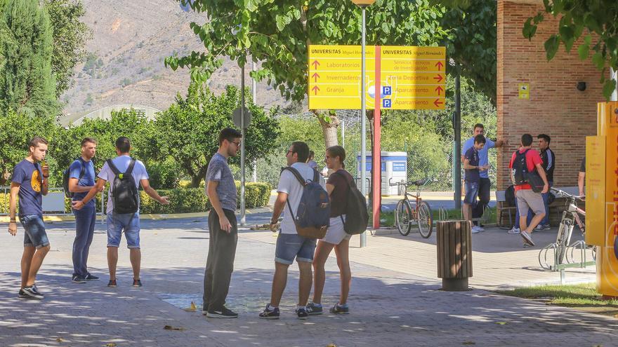 El Campus de Desamparados de Orihuela licita la concesión del servicio de comedor por cien mil euros al año