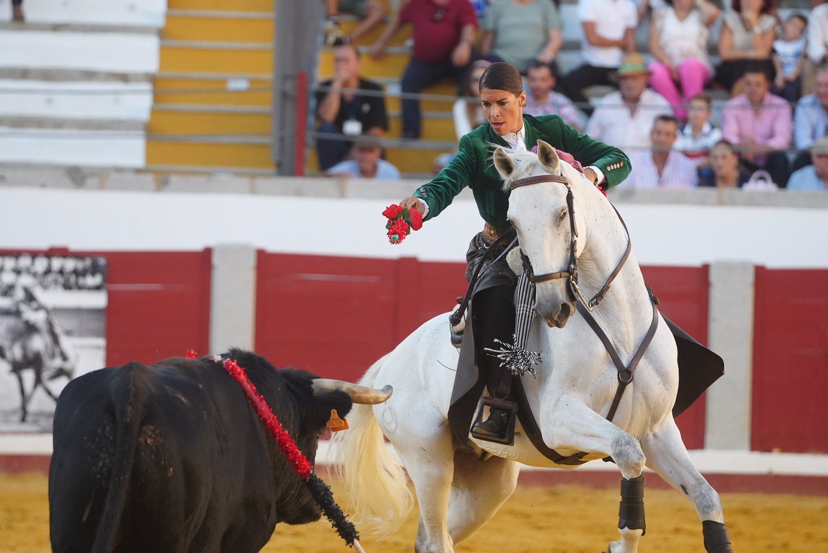 La corrida de rejones en Pozoblanco, en imágenes