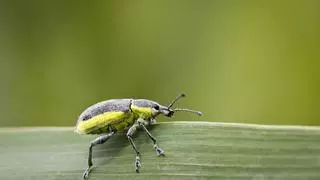 Triodos Bank lidera la protección de la biodiversidad con al menos 500 millones de euros en financiación