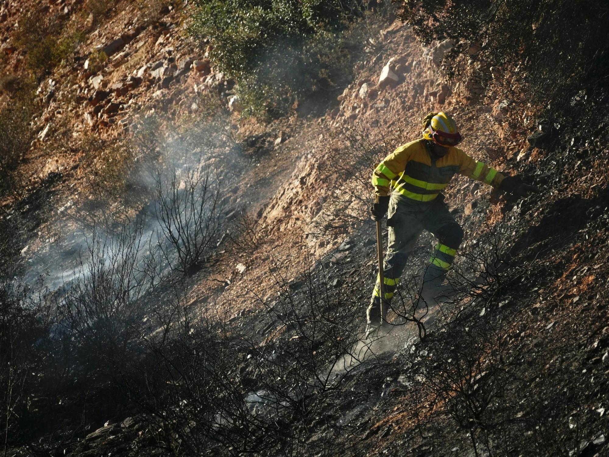 Incendio en el entorno de la Fuente de la Salud de Zamora