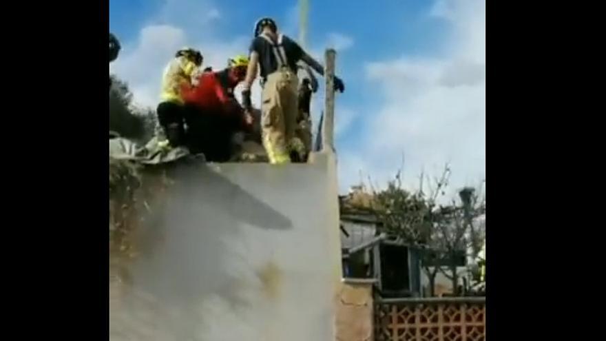 Los Bomberos rescatan con una grúa a un poni que cayó en un pozo en Barcelona