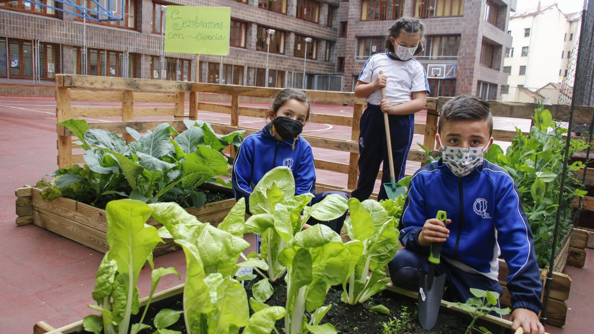 Niños de infantil en el huerto del Colegio.