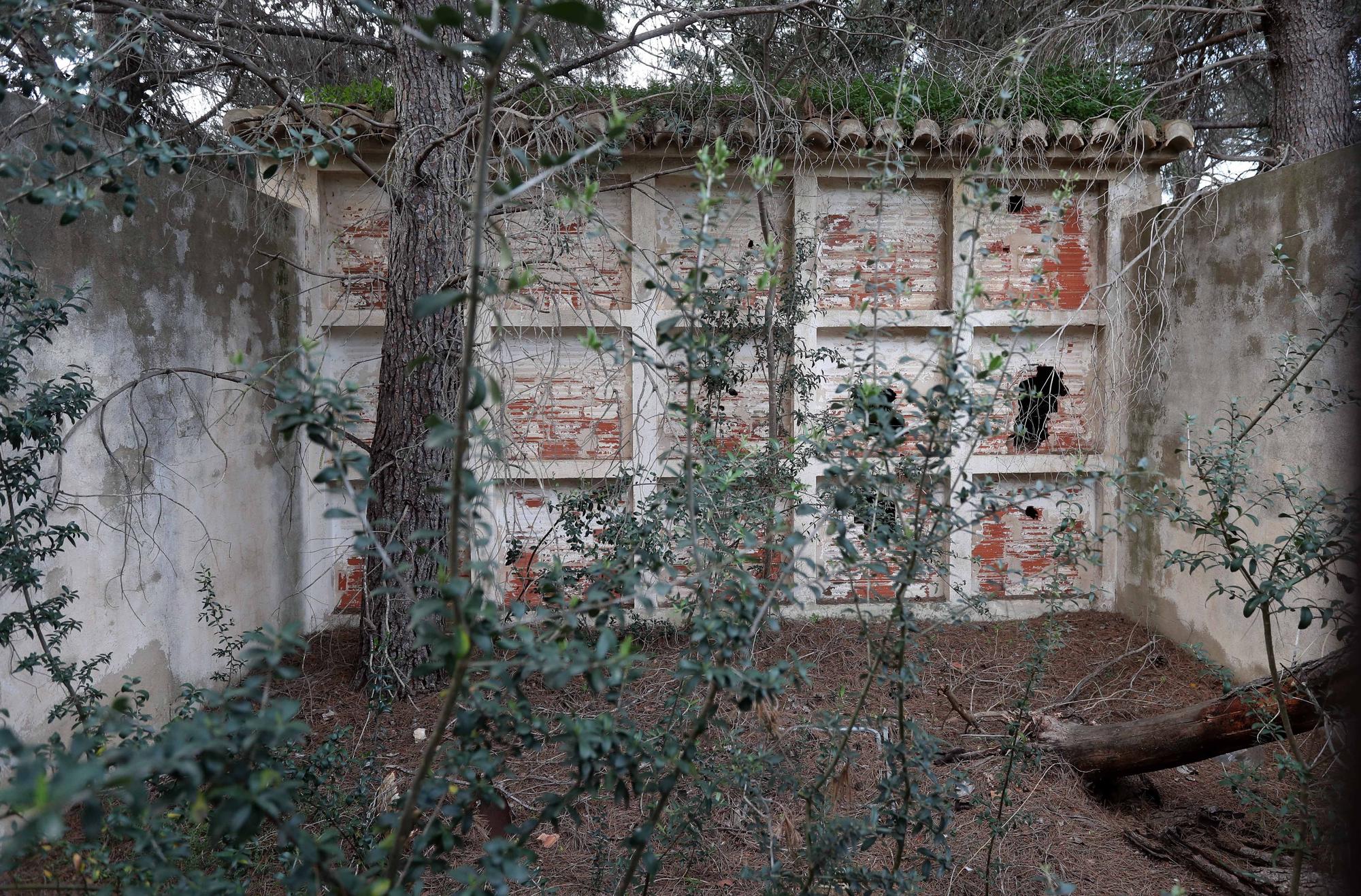 El cementerio abandonado de Moncada que te recordará a las películas de zombies