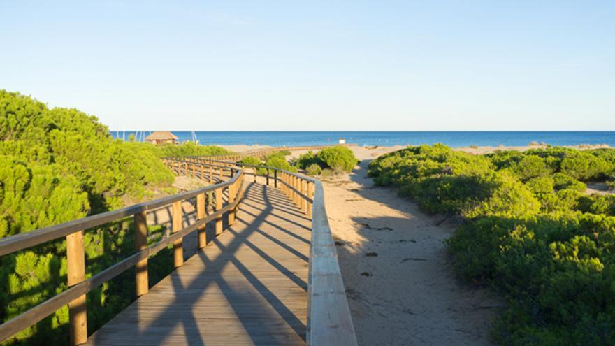 Elche: sumérgete en un oasis mediterráneo