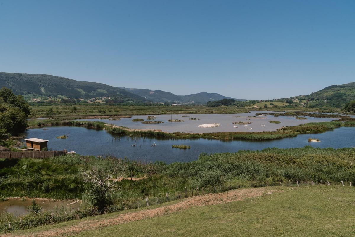 Vista del impresionante humedal de la Reserva de Urdaibai donde se ubica el Bird Center, referencia europea para los amantes de la ornitología.