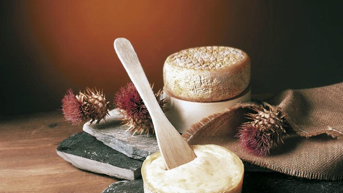 Alta cocina de Cáceres