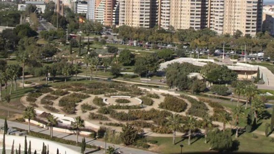 València soltará cientos de ácaros voraces contra las arañas de las rosaledas