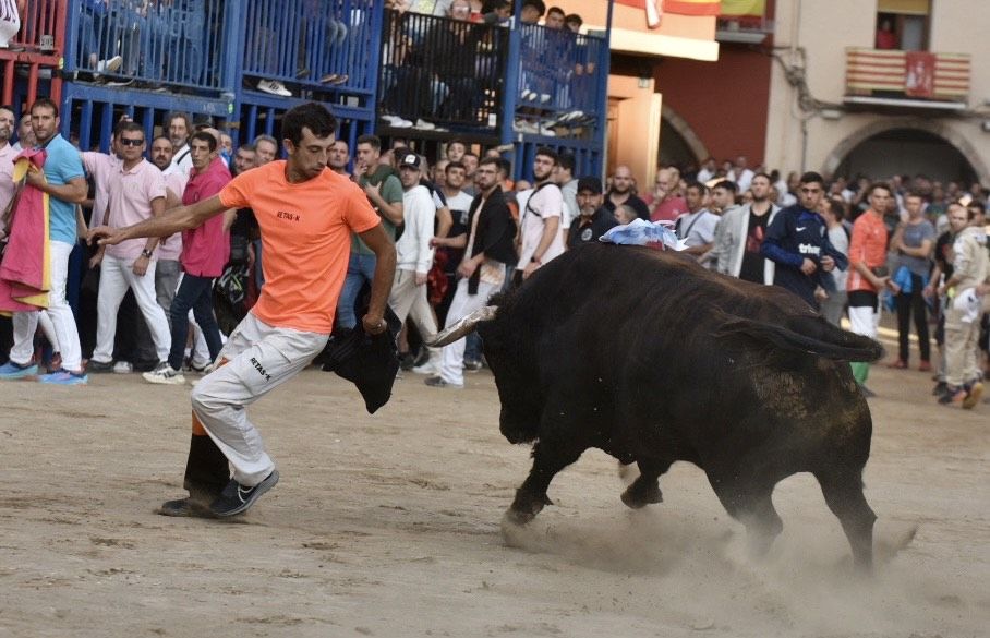 Las fotos del intenso miércoles de 'bous al carrer' de la Fira d'Onda, con visita de Bruno Soriano