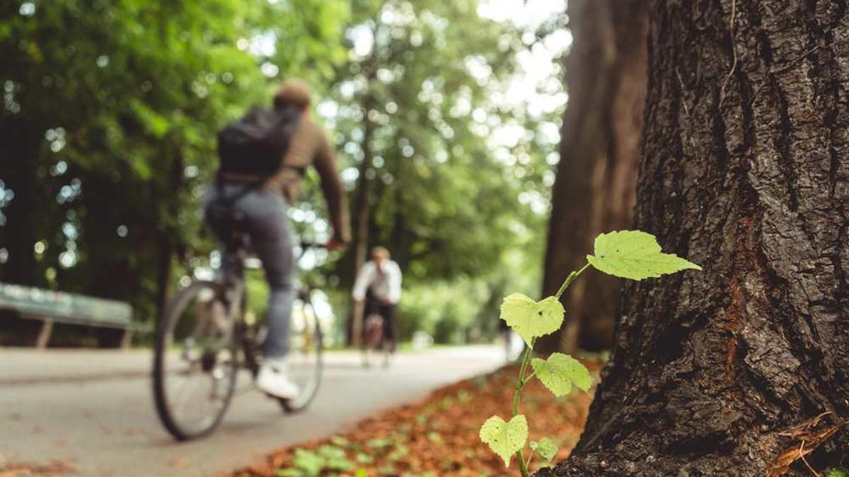 L'Ajuntament de Girona vol reforçar l'ecologia urbana i les infraestructures verdes del municipi