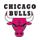 Chicago Bulls