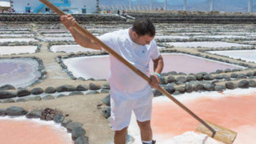 ¿Sabías...? | Las Salinas de Tenefé