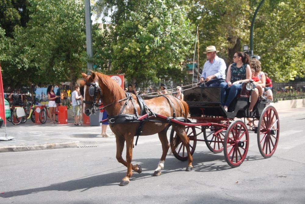 Día del caballo en la Feria de Murcia 2018