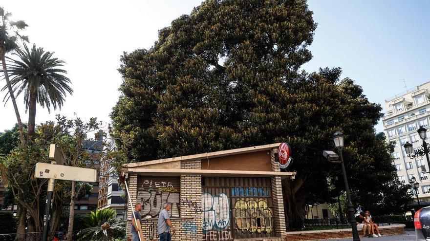 El Ayuntamiento de València prepara el derribo del quiosco-bar del Parterre para salvar el ficus monumental
