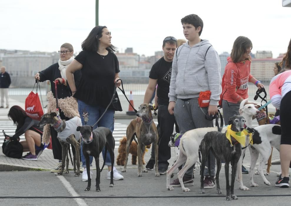 Correcán 2017 en A Coruña