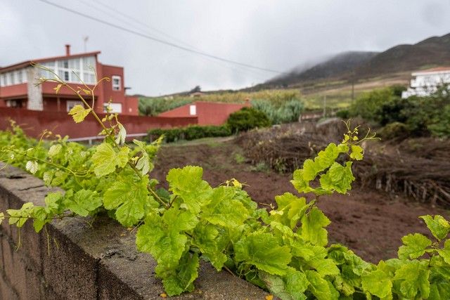 Efectos de la tormenta 'Hermine' en Tenerife