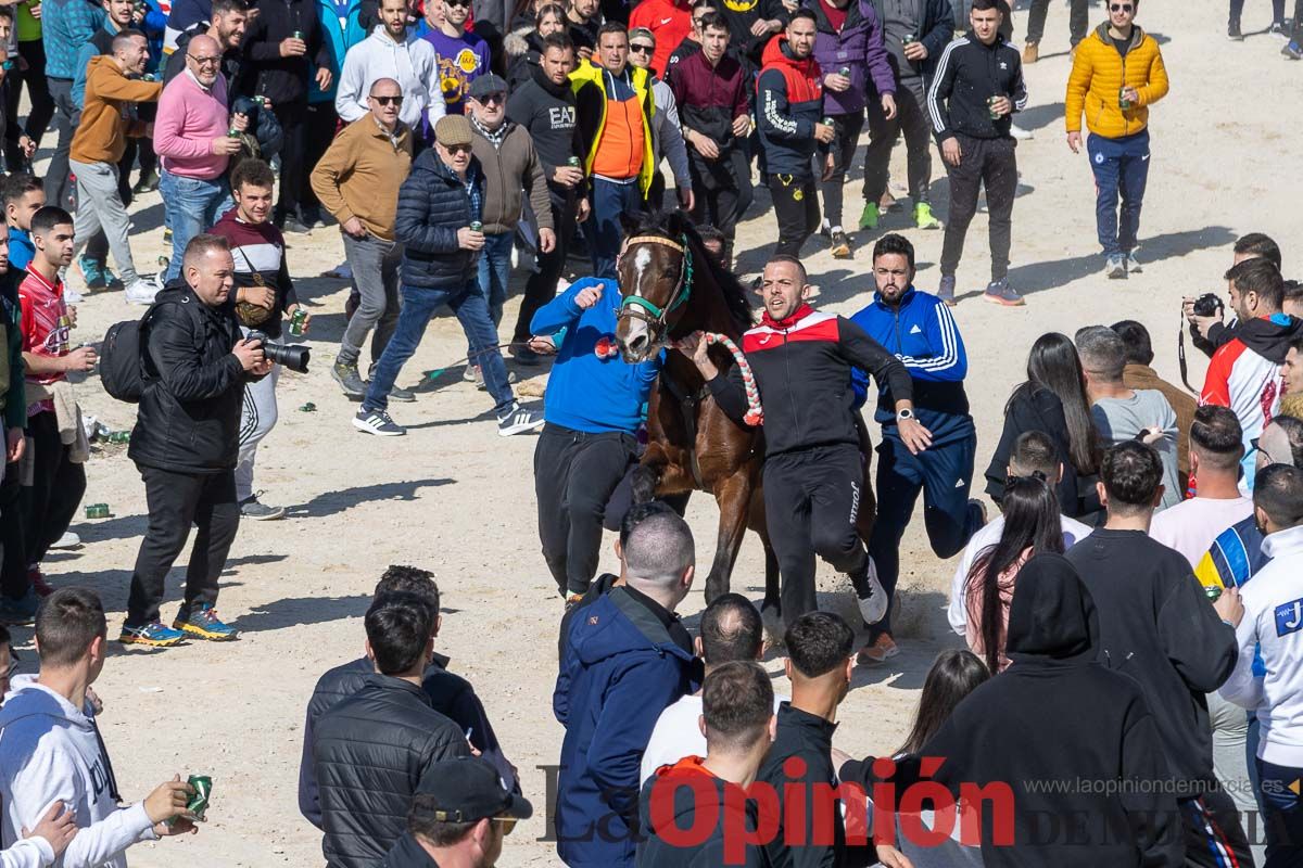 Convivencia Caballos del Vino de la Peña Artesano