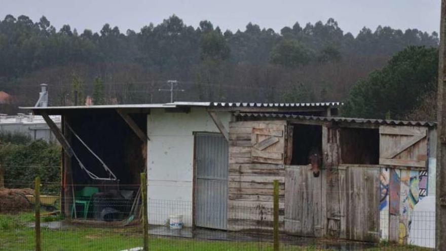 Galpón que se usa como establo para caballos anexo a un cobertizo.