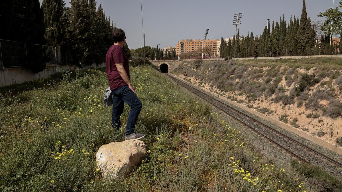 Lugar donde cuatro menores de 14 y 15 años intentaron sabotear el paso del tren de Alicante-Murcia en Elche