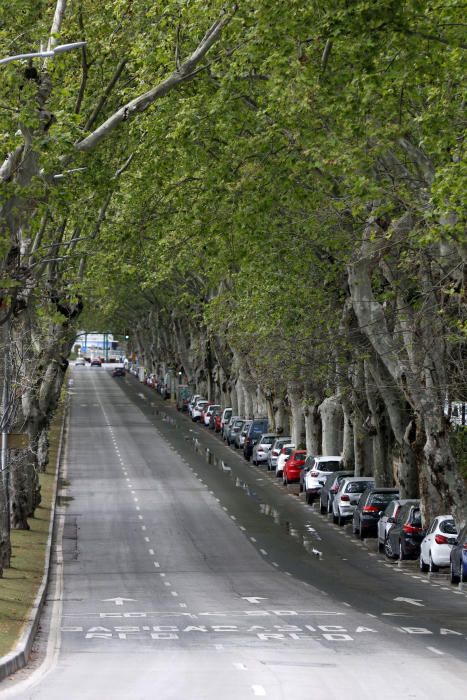 Con más de una semana de confinamiento cumplida, la ciudad de Málaga sigue dejando imágenes desoladoras en sus calles. Pocos transeúntes en puntos siempre tan bulliciosos como el Muelle Uno o apenas tráfico en el Paseo de los Curas, normalmente atestado de vehículos a cualquier hora del día.