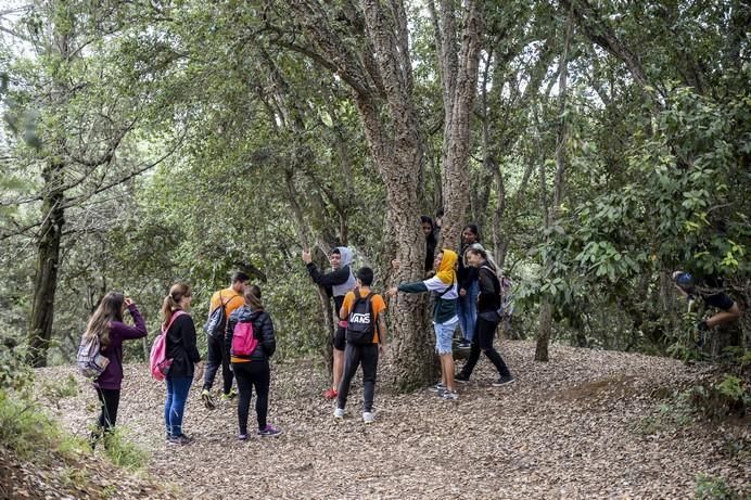 ALUMNOS IES PEREZ GALDOS EN OSORIO