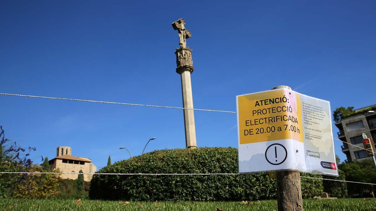 Pedralbes: Aquesta és la història d’un ‘pastor elèctric’ en una gran ciutat