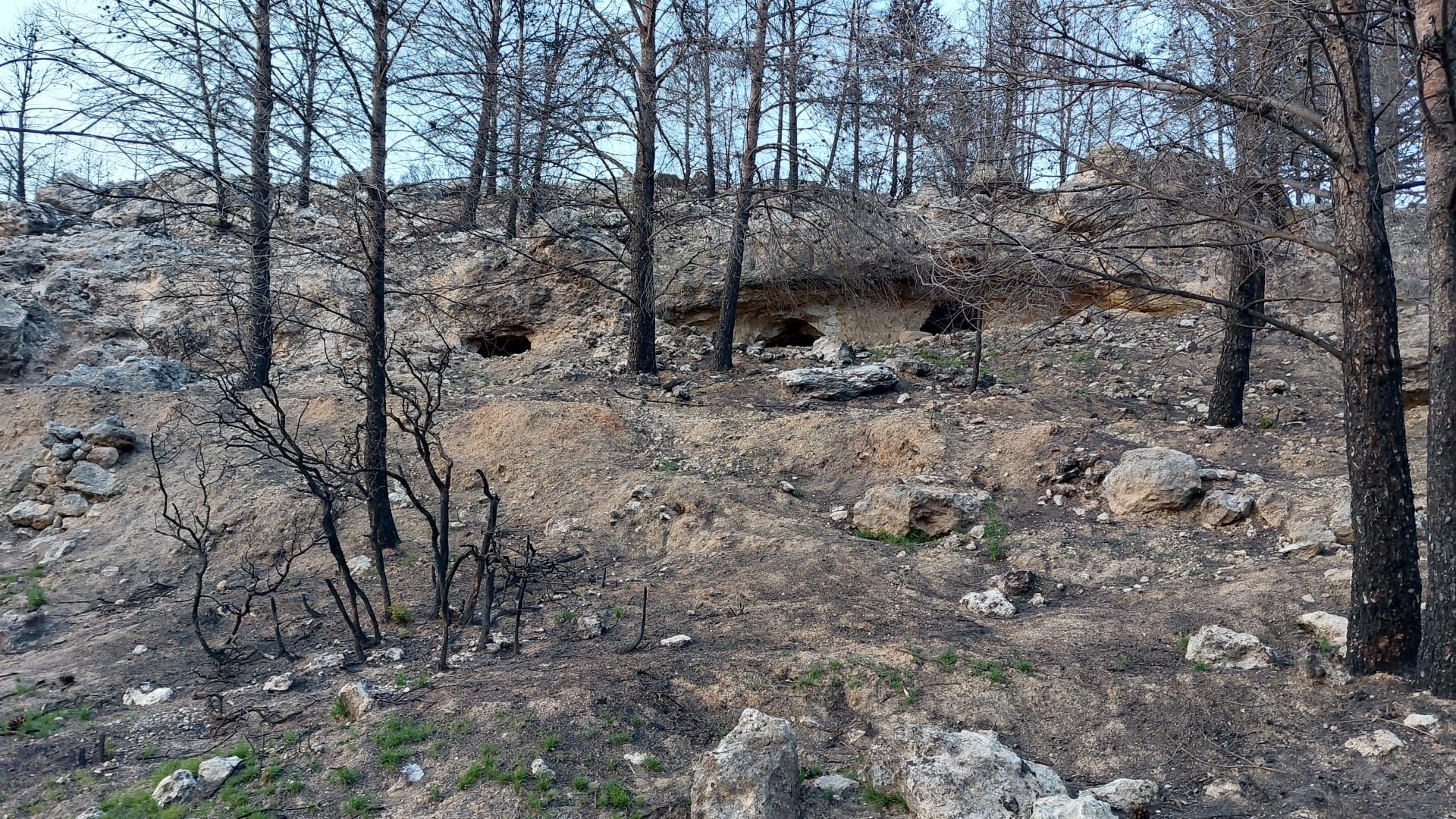 Las construcciones bélicas que ha encontrado Torás a raíz del incendio de Bejís