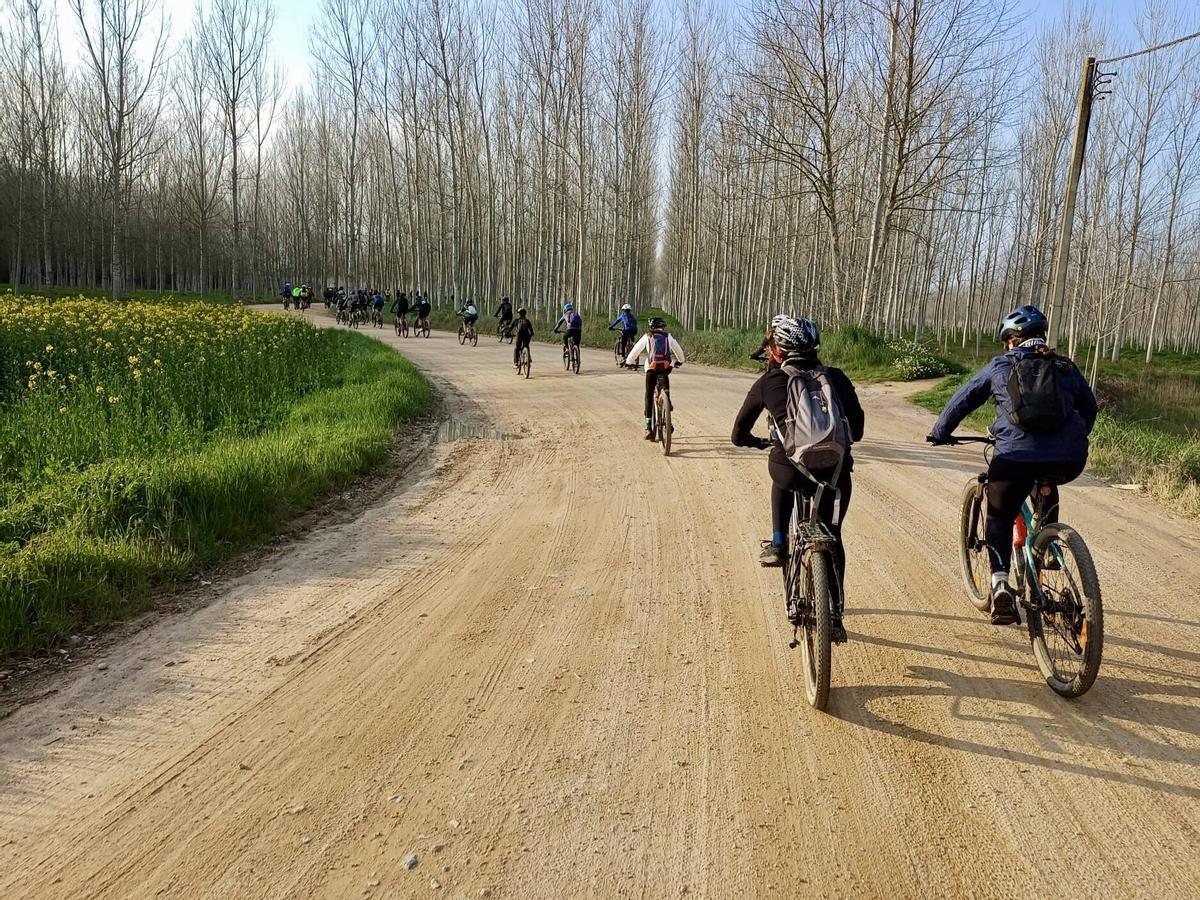 Una imatge d'una ruta d'aquest any, amb els participants a prop de Riudarenes.