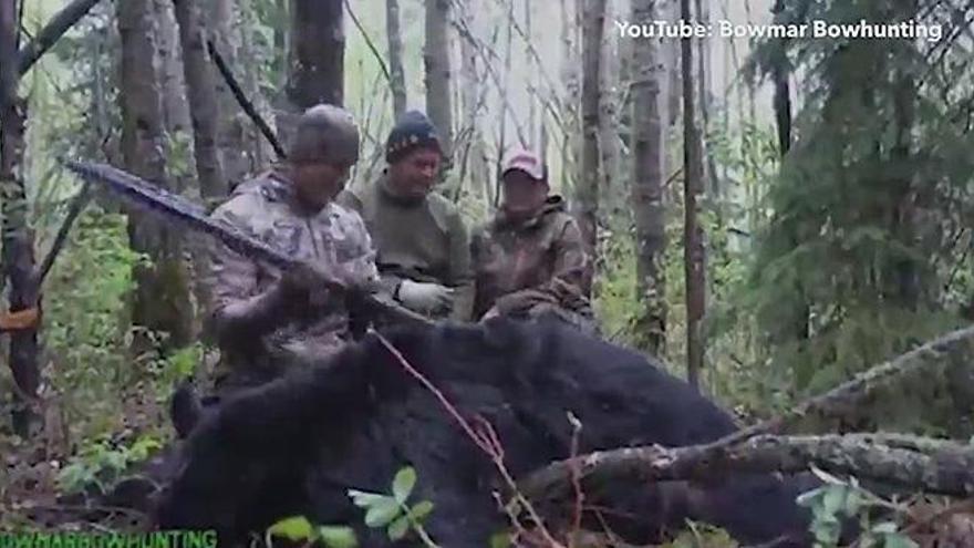 Polémica en Canada por un cazador que graba como mata a un oso con una lanza