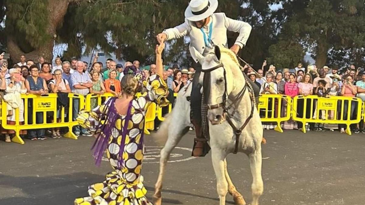 XXIX Gran Día del Caballo en Pino Santo