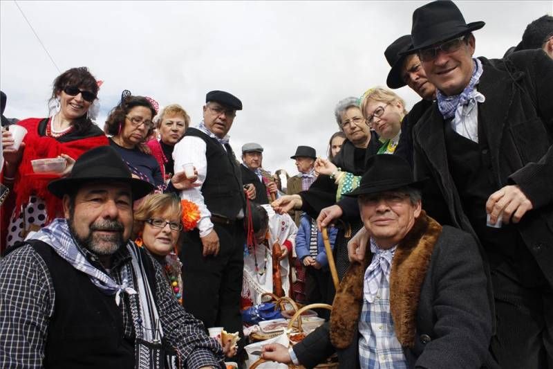 La fiesta de la patatera de Malpartida de Cáceres en imágenes