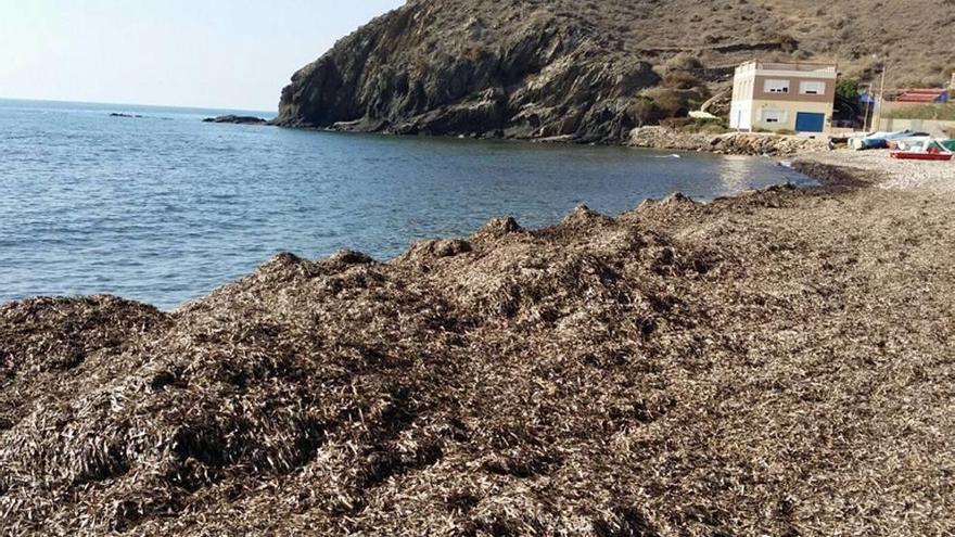 Denuncian el mal estado de las playas de Calnegre