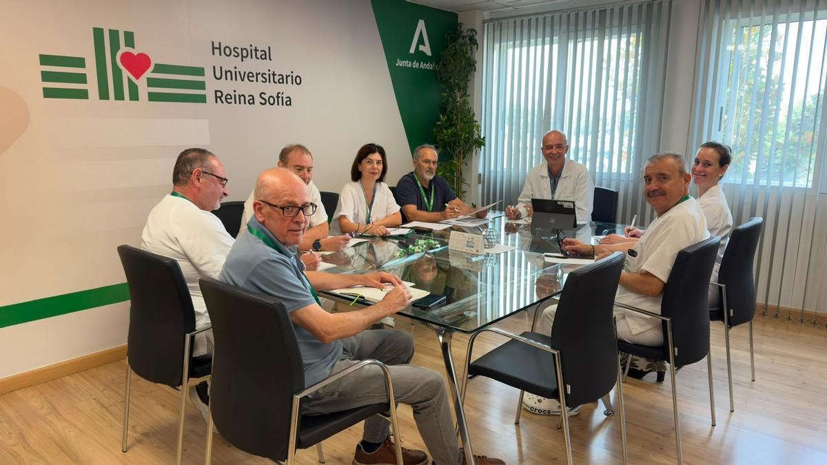 Reunión de Satse con la dirección del Reina Sofía.