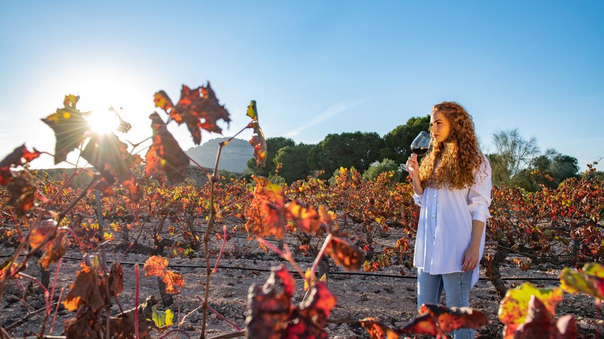 La Región de Murcia es un auténtico paraíso para los amantes de los buenos vinos