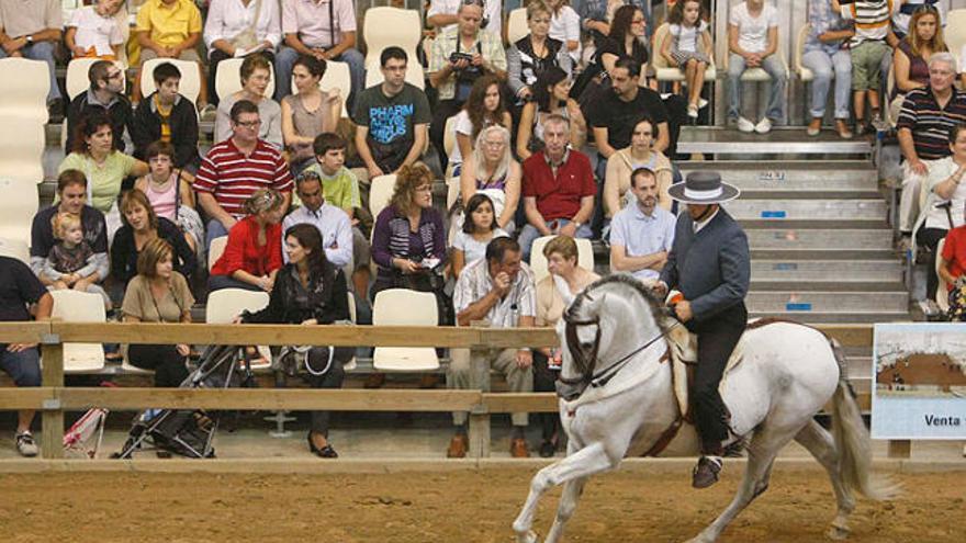 Un cavall en acció, durant l&#039;edició de l&#039;any passat.