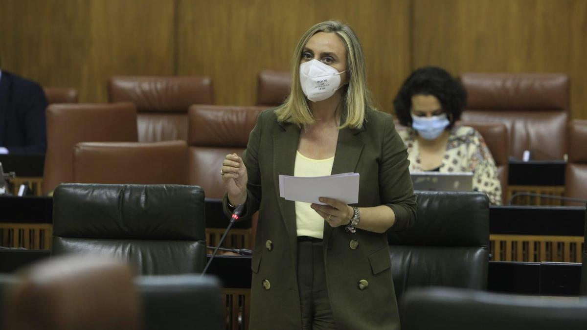 La consejera Marifrán Carazo, durante su intervención en el Parlamento.