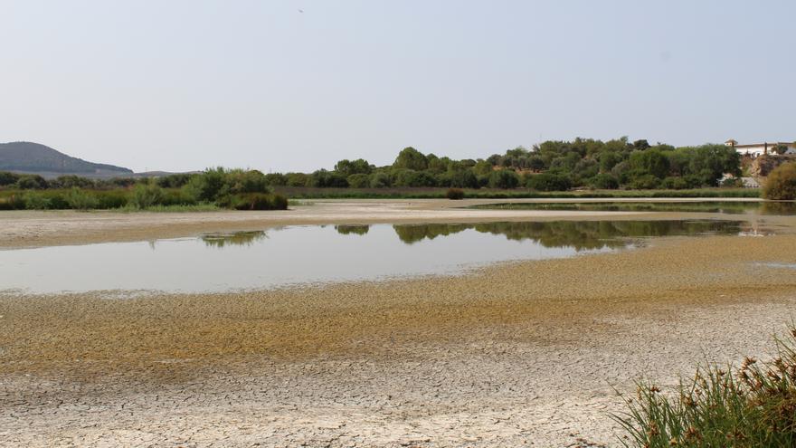 La laguna de Fuente de Piedra, prácticamente seca