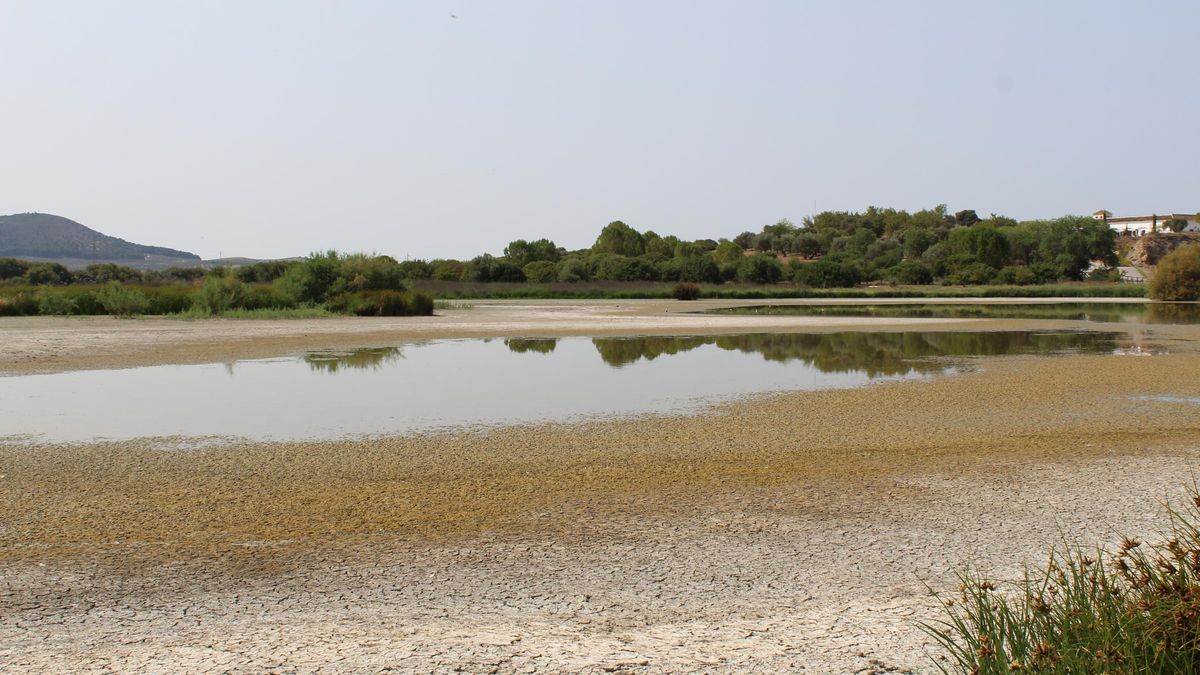 Estado de la Laguna de Fuente de Piedra.