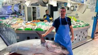 Nuevo atún gigante en Avilés: una pescadería de la ciudad vende el más grande hasta la fecha