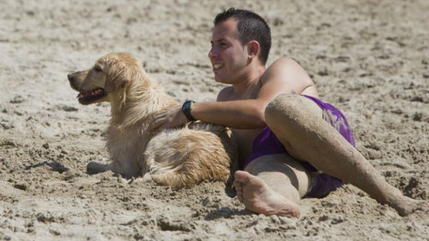 Playas que admiten perros en Valencia.