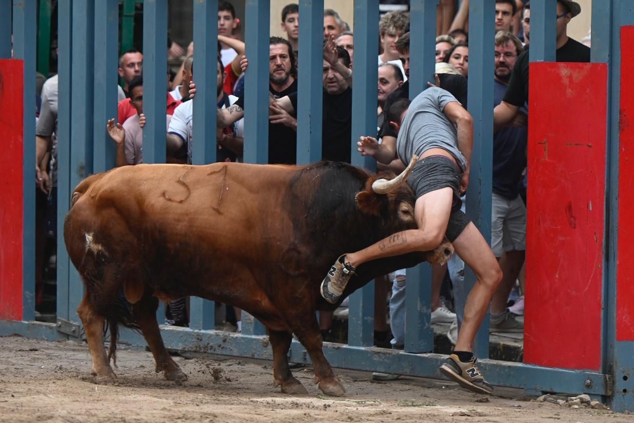 Las impactantes imágenes de la grave cogida en los 'bous al carrer' de Vila-real